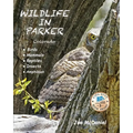 Wildlife In Parker: Colorado