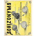 Schizonyms: Words with Dual Personalities