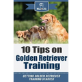 10 Tips on Golden Retriever Training: Getting Golden Retriever Training Started!