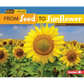 From Seed to Sunflower
