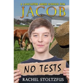 A Lancaster Amish School for Jacob