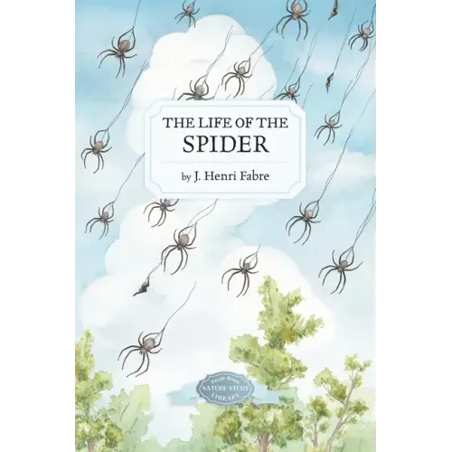 The Life of the Spider