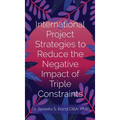 International Project Strategies to Reduce the Negative Impact of Triple Constraints