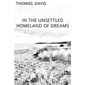 In the Unsettled Homeland of Dreams