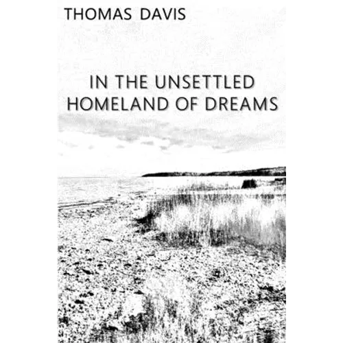 In the Unsettled Homeland of Dreams