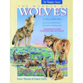 The Wonder of Wolves: A Story & Activities