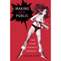Making Sex Public and Other Cinematic Fantasies