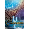 The Y Chromosomes