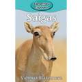 Saigas