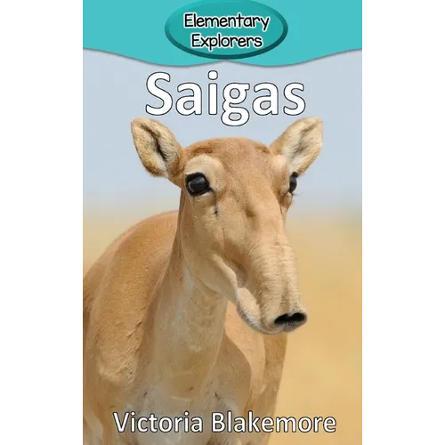 Saigas