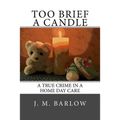 Too Brief A Candle: A True Crime in a Home Day Care
