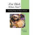Zoe Died. What Now?: Finding Hope in Times of Loss