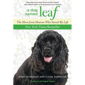 Dog Named Leaf: The Hero from Heaven Who Saved My Life
