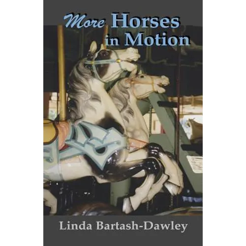 More Horses in Motion: A Second Look at Carousels in Monroe County, New York