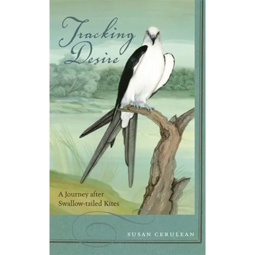 Tracking Desire: A Journey After Swallow-Tailed Kites