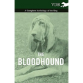 The Bloodhound - A Complete Anthology of the Dog -