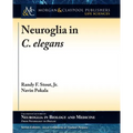 Neuroglia in C. elegans