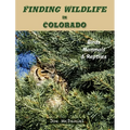 Finding Wildlife In Colorado: Birds, Mammals and Reptiles