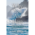 Why You Are Here: and other stories