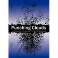 Punching Clouds: An Introduction to the Complexity of Public Decision-Making