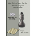 One Bishop Saves the Day: A World Champion's Favorite Studies