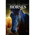 Horse - Curious Kids Press