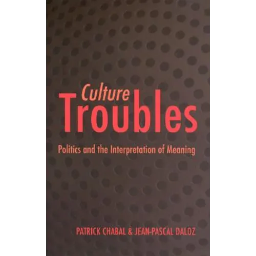 Culture Troubles: Politics and the Interpretation of Meaning