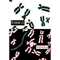 Refiguring Life: Metaphors of Twentieth-Century Biology