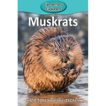 Muskrats
