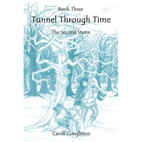 Tunnel Through Time: The Second Stone