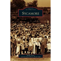 Sycamore
