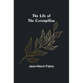 The Life of the Caterpillar