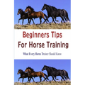 Beginners Tips for Horse Training