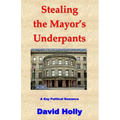 Stealing the Mayor's Underpants: A Gay Political Romance