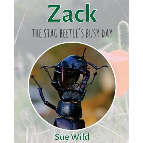 Zack: The stag beetle's busy day