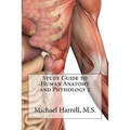 Study Guide to Human Anatomy and Physiology 2