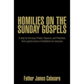 Homilies on the Sunday Gospels: A help for the busy Priests, Deacons, and Preachers And a good source of meditation for everyone