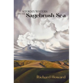 Stormy Waters on the Sagebrush Sea