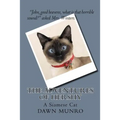 The Adventures Of Hershy: a Siamese cat