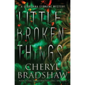 Little Broken Things