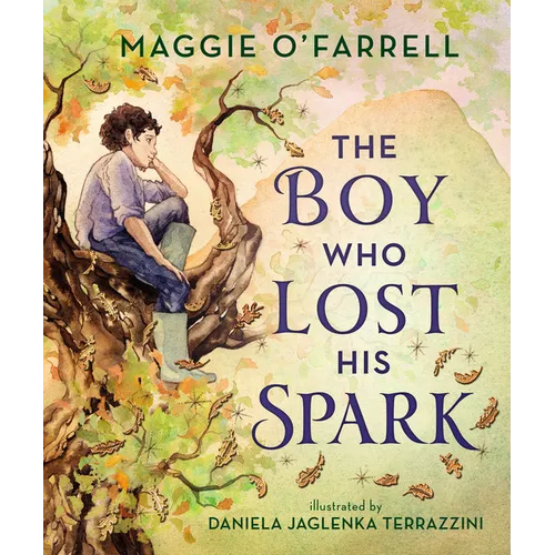 The Boy Who Lost His Spark