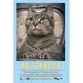 Buttercup - The Legendary Charm and Love of a Domestic Short-Haired Tabby Cat
