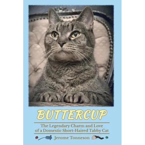 Buttercup - The Legendary Charm and Love of a Domestic Short-Haired Tabby Cat