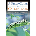 Caterpillars in the Field and Garden: A Field Guide to the Butterfly Caterpillars of North America