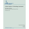 Carbon Capture: A Technology Assessment