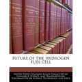 Future of the Hydrogen Fuel Cell