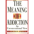 The Meaning of Addiction: An Unconventional View