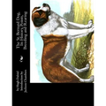 The St. Bernard Dog, Its History, Points, Breeding and Rearing
