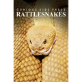 Rattle Snakes - Curious Kids Press: Kids book about animals and wildlife, Children's books 4-6