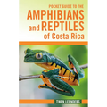 Pocket Guide to the Amphibians and Reptiles of Costa Rica